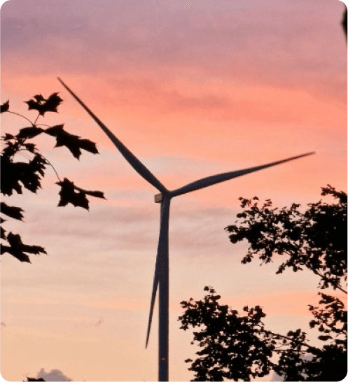 The Role of Technology in Accelerating the Green Transition